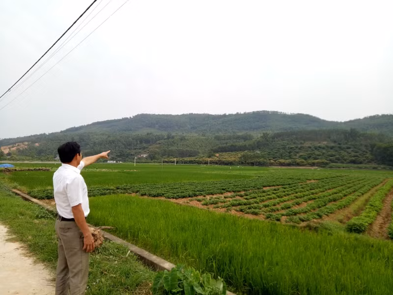 Siêu nghĩa trang An Phúc Viên, dân phản đối, lãnh đạo tỉnh vẫn quyết ảnh 3 Siêu nghĩa trang An Phúc Viên, dân phản đối, lãnh đạo tỉnh vẫn quyết ảnh 3