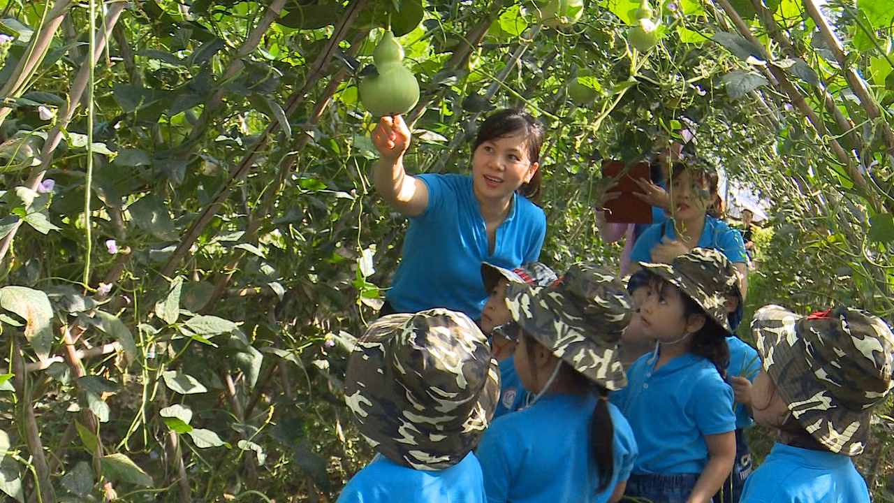Các em học sinh được tham quan vườn rau và trải nghiệm thu hoạch nông sản. (Ảnh: Lã Tiến) Các em học sinh được tham quan vườn rau và trải nghiệm thu hoạch nông sản. (Ảnh: Lã Tiến)