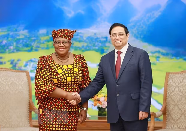 Thủ tướng Phạm Minh Chính tiếp Tổng Giám đốc Tổ chức Thương mại thế giới WTO Ngozi Okonjo-Iweal. (Ảnh: Dương Giang/TTXVN)