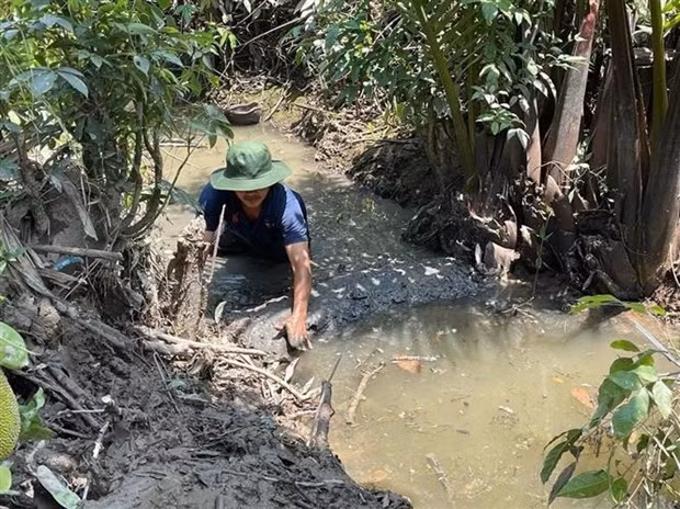 Người dân xã Tiên Long, huyện Châu Thành (Bến Tre) trữ nước ngọt tưới cho cây trồng. (Ảnh: TTXVN phát)