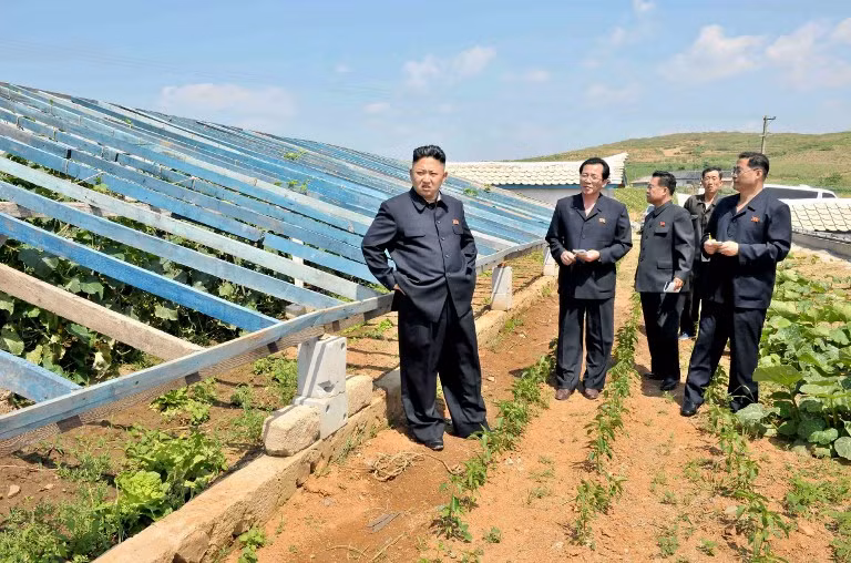 Nhà lãnh đạo Triều Tiên Kim Jong-un (trái) trong một chuyến thị sát. Nhà lãnh đạo Triều Tiên Kim Jong-un (trái) trong một chuyến thị sát.