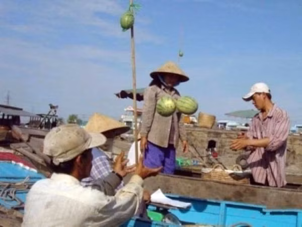 Quảng cáo dưa ?!!
