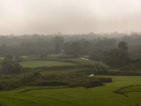 Cánh đồng miền núi.