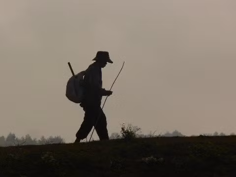 Độc bước.