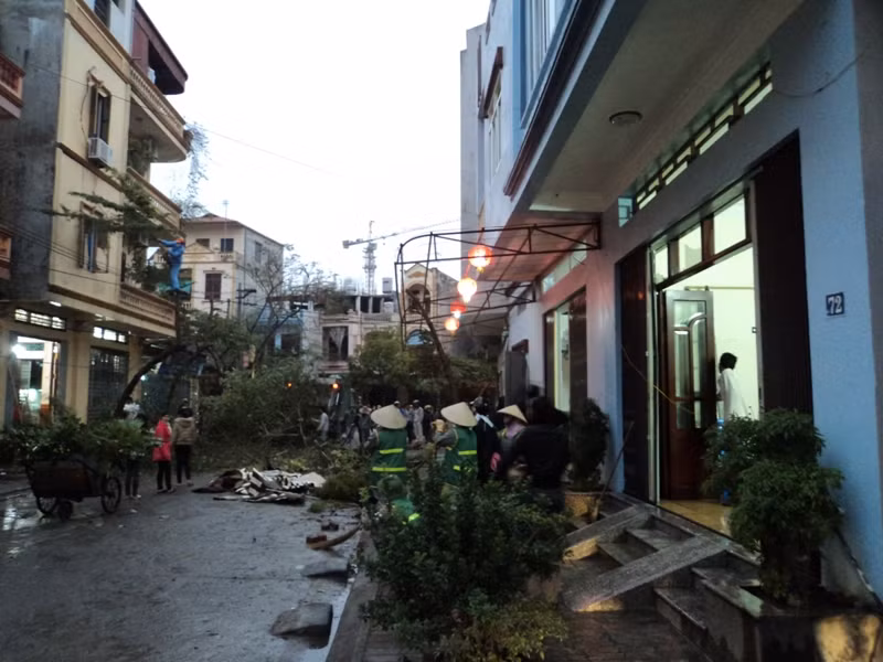 ... tránh những phần máu và thi thể nhỏ còn sót lại bám trên cành, lá cây.