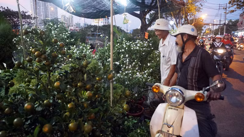 Mai “chỉ thiên” có giá 500 ngàn đồng cũng được nhiều khách hỏi mua.