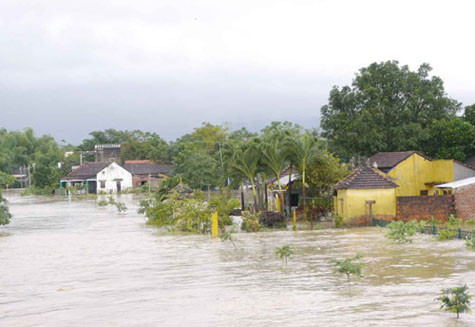 Khu vực đầu cầu Diêu Trì (H.Tuy Phước, Bình Định) cũng ngập sâu trong lũ - Ảnh: Thanh Niên
