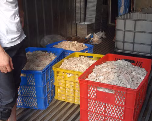 Gần 8 tấn lòng thối ngâm hóa chất tẩy rửa được phát hiện vào ngày 18.4 tại cơ sở của ông Hương - Ảnh: K.C