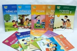 Giá sách giáo khoa lớp 1 đã cao nhưng đừng sơ hở với... sách bổ trợ