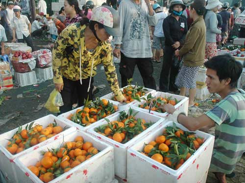 Trái cây nhập khẩu từ Trung Quốc được giữ tươi rất lâu
