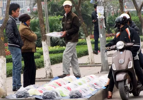 Đi xe "xịn" mua nhưng mua mũ rởm Đi xe "xịn" mua nhưng mua mũ rởm