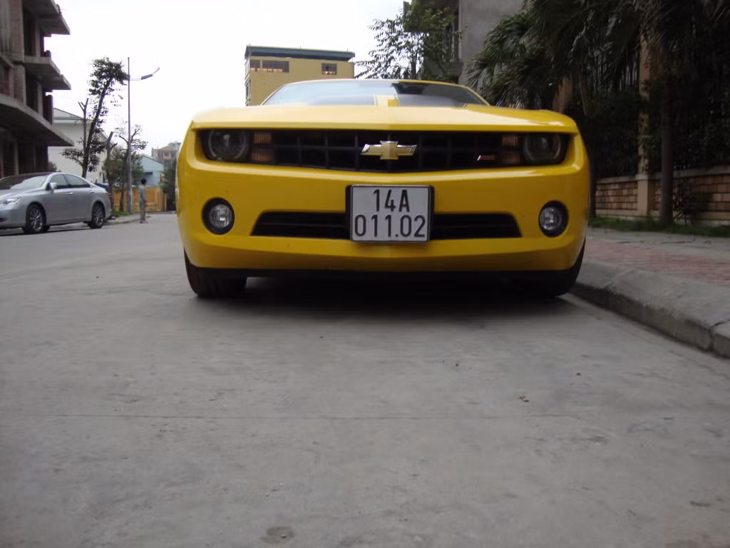 Camaron 14A-011.02 Camaron 14A-011.02