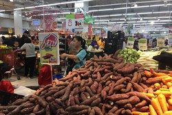 Theo nhiều chuyên gia kinh tế, nông sản Việt Nam có thế mạnh và tiềm năng, chỉ cần người nông dân, doanh nghiệp thay đổi sẽ thu lợi lớn. Ảnh: Vũ Phương.