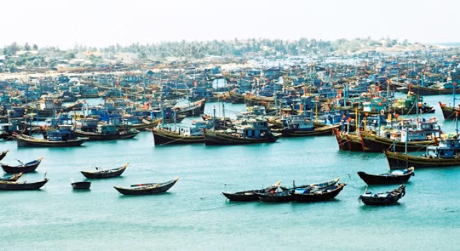 Ngư dân Việt Nam từ nay sẽ có "chỗ dựa vững chắc"