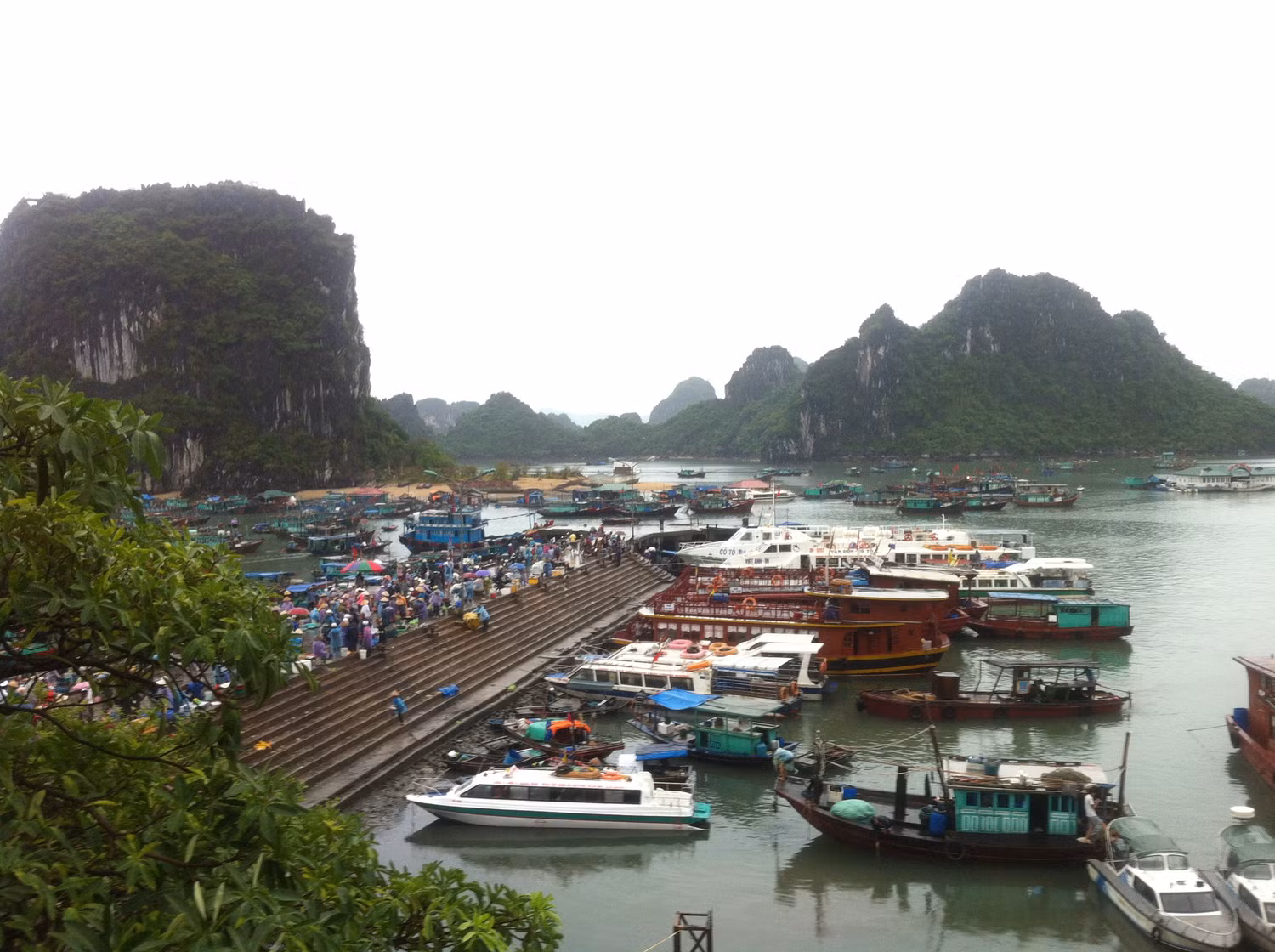 Huyện đảo Cô Tô, Quảng Ninh được xem xét thành lập xã Đảo Trần. Ảnh Internet Huyện đảo Cô Tô, Quảng Ninh được xem xét thành lập xã Đảo Trần. Ảnh Internet