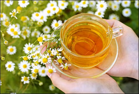 Ảnh: Aboutchamomile.com Ảnh: Aboutchamomile.com
