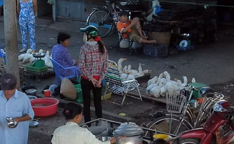 Một điểm bán, giết mổ gia cầm sống cạnh nơi bán thức ăn ở miền Tây. Ảnh: VNE