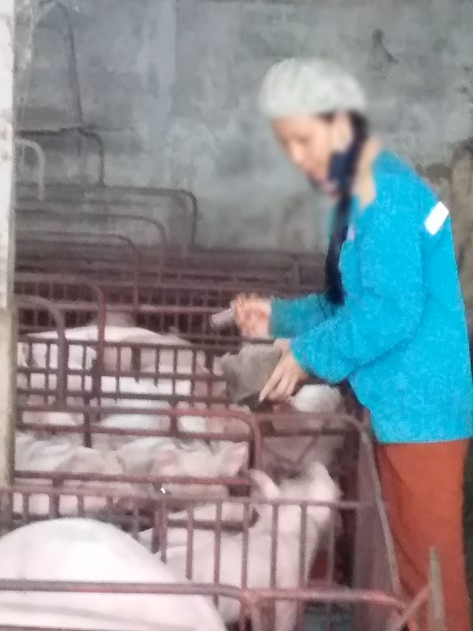 Giáo viên thỉnh giảng cũng nên được xếp vào nhóm đối tượng cần được Nhà nước hỗ trợ trong đợt dịch Covid-19 (Ảnh:V.N)