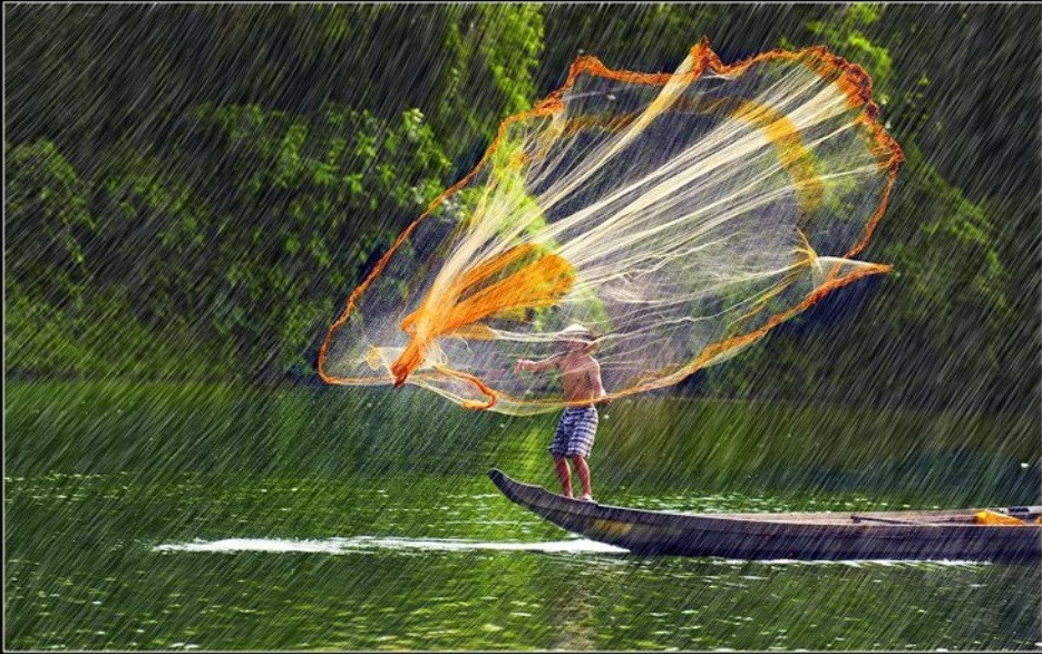 Cơn mưa bất chợt...