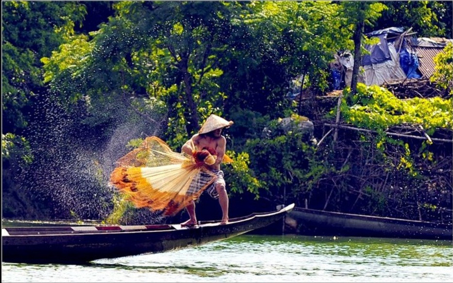 Đôi tay người nghệ sỹ...