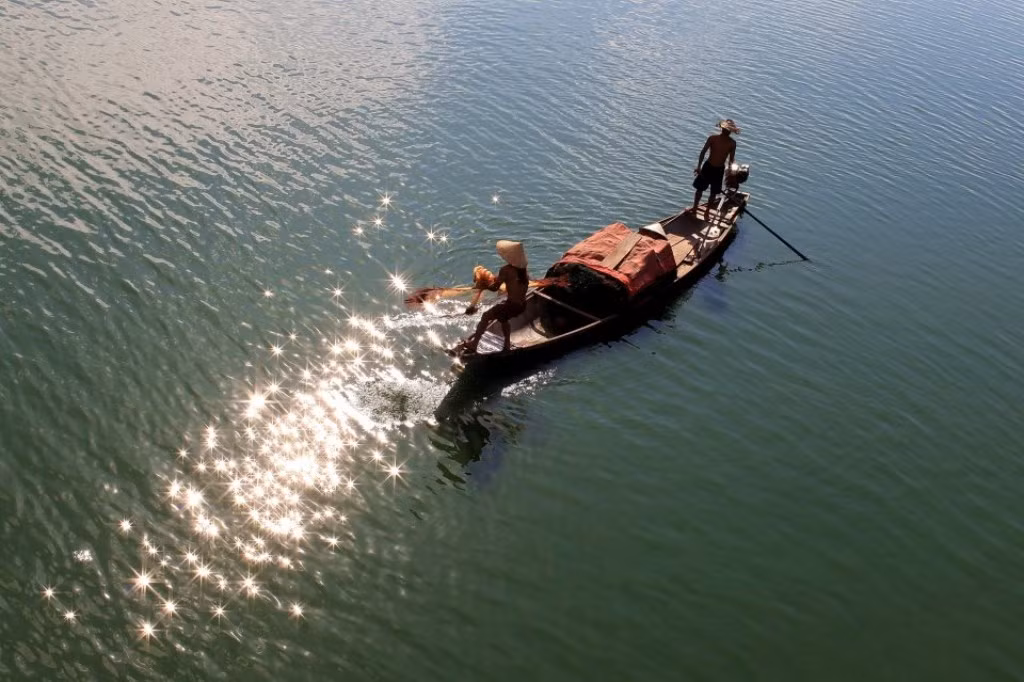 Vớt lên những "ánh sao rơi"...