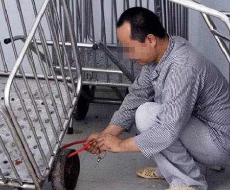 Đại gia phát “điên” vì xài hoang ảnh 2 Đại gia phát “điên” vì xài hoang, Tin tức trong ngày, benh nhan tam than, dai gia, tam than, roi loan tam than, nguoi dien, benh vien tam than, roi loan tam than, tram cam, bao, tin tuc, tin hot, tin hay