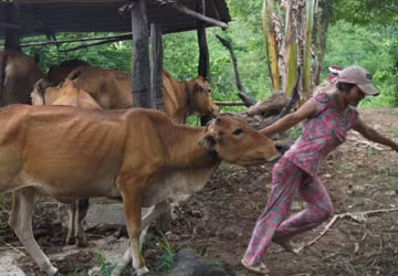 Giải cứu cô gái bị cha cưỡng hiếp, bắt làm “người rừng” ảnh 1 Giải cứu cô gái bị cha cưỡng hiếp, bắt làm “người rừng” ảnh 1