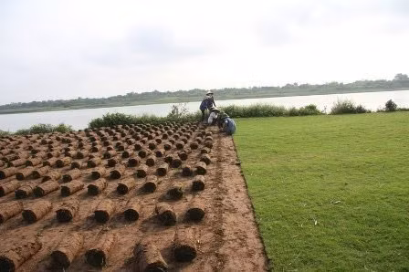 Nghề đặc biệt bên sông Hồng, Tin tức trong ngày, nghe trong co, trong co nhung, bai boi song hong, nong dan, nghe dac biet, bao, tin tuc, tin hot, tin hay