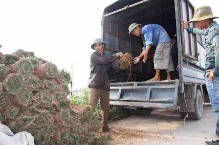 Nghề đặc biệt bên sông Hồng, Tin tức trong ngày, nghe trong co, trong co nhung, bai boi song hong, nong dan, nghe dac biet, bao, tin tuc, tin hot, tin hay