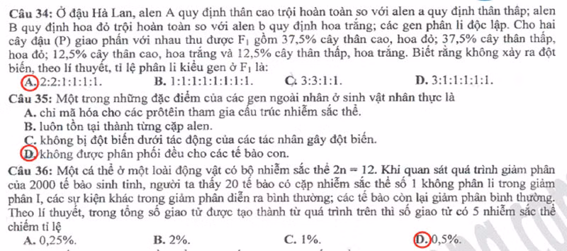 Xem đáp án môn Vật lí - Xem đáp án môn Toán - Xem đáp án môn Hóa - Xem đáp án môn Ngoại ngữ Khối A1
