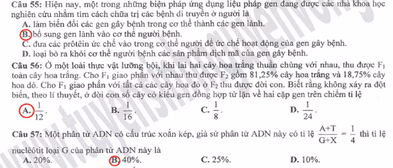 Xem đáp án môn Vật lí - Xem đáp án môn Toán - Xem đáp án môn Hóa - Xem đáp án môn Ngoại ngữ Khối A1
