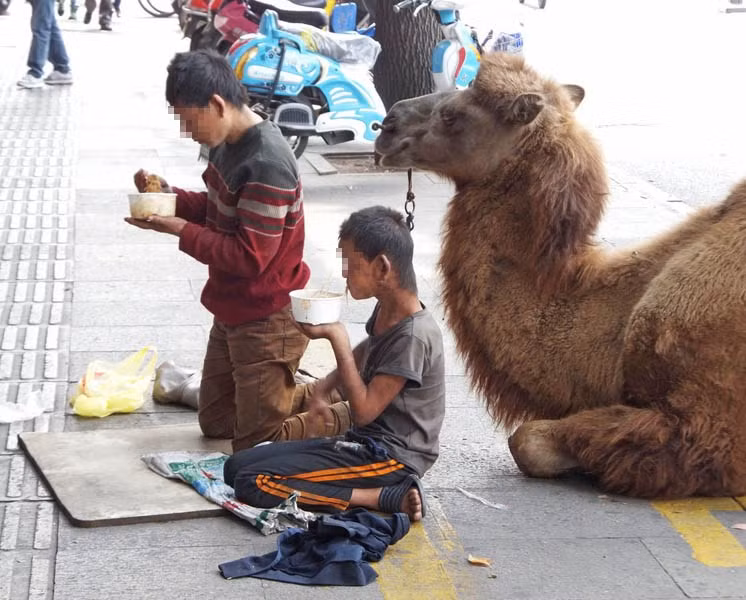 Họ cứ quỳ lạy những người qua đường mà không nói gì