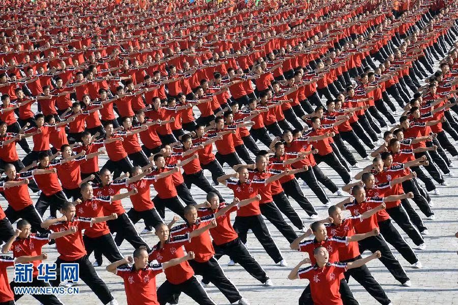 Thiếu Lâm Tự kungfu ban đầu chỉ phổ biến trong giới hạn những nhà sư xuất gia tại chùa Thiếu Lâm như một phương tiện rèn luyện sức khỏe và cứu độ chúng sinh, nay đã trở thành môn võ thuật phổ biến khắp thế giới
