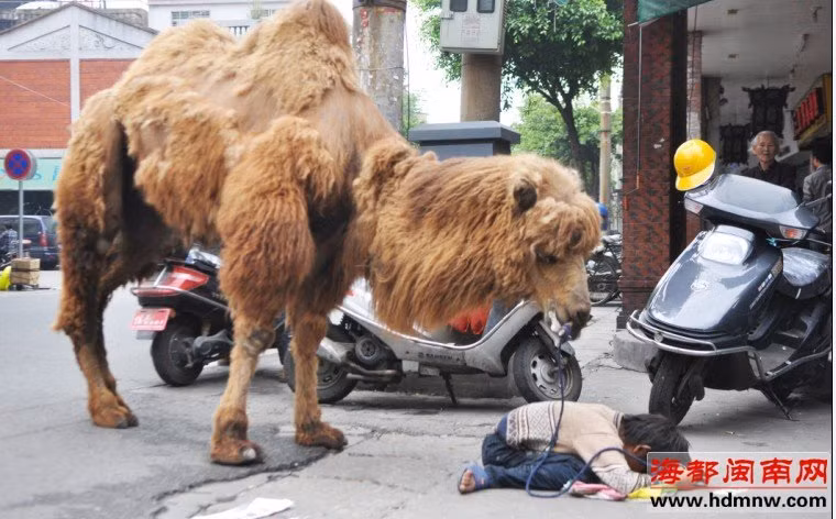 Già có, trẻ có