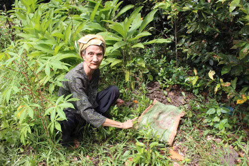 Bà Huỳnh Thị Tư kể lại sự việc tại nơi bà phát hiện đứa bé lúc bị chôn sống