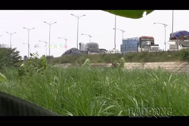 Dừng xe hàng loạt Dừng xe hàng loạt