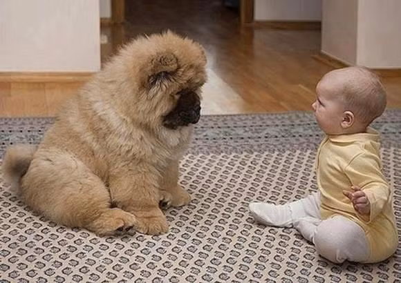 Này!đừng có dọa tao thế chứ. Tao mà có khóc nhè thì còn lâu mới dỗ được nhé. Đừng có thách nhà giàu húp tương.