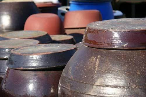 Những vại kim chi được ủ, phơi nắng