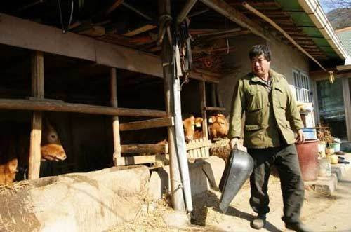 Hình ảnh chân thực về cuộc sống của người lao động xứ Hàn