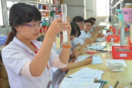 Ngày 19/10, Hiệp hội chính thức gửi công văn kiến nghị sửa đổi và bổ sung một số điều của các luật về giáo dục tới các lãnh đạo cao cấp Đảng và Nhà nước. (Ảnh: Báo Người lao động)