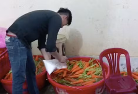 Nhân viên của Sáng đang tiến hành tẩy trắng cà rốt. Nhân viên của Sáng đang tiến hành tẩy trắng cà rốt.