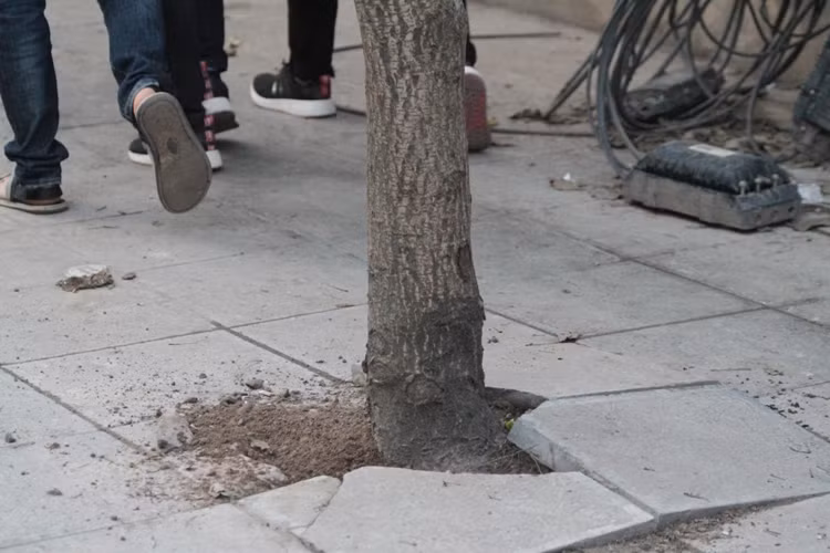 Yêu cầu đảm bảo tính mỹ thuật khi lát đá vỉa hè không tồn tại trong bức hình này (ảnh Trinh Phúc - chụp trên đường Ngô Thị Nhậm, Hà Đông).
