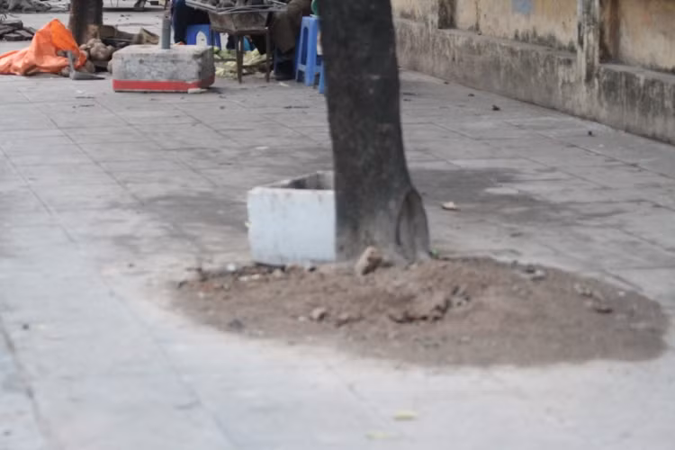 Lát đá vỉa hè xong nhưng tính mỹ thuật của nó thật khó chấp nhận (ảnh chụp trên phố Ngô Thì Nhậm quận Hà Đông - ảnh Trinh Phúc).
