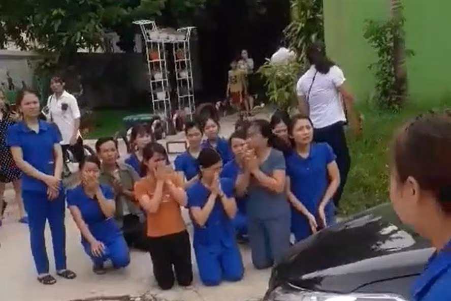 Ý kiến khác nhau của 5 Bộ về vụ các cô giáo quỳ, trường Tuổi Thơ đi về đâu? ảnh 2