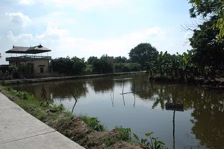 Ao làng nơi xảy ra vụ án mạng