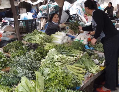 Trước sự bất an của người dân khi nghe thông tin về cải thảo Trung Quốc chứa chất ướp xác, ngày 10/5, các cơ quan chức năng tại TP.HCM đã tiến hành lấy mẫu để xét nghiệm. Theo đó, mẫu cải thảo được lấy tại chợ đầu mối Thủ Đức, TP.HCM, có nguồn gốc từ Trung Quốc. Lực lượng chức năng cho hay, hiện tại TP.HCM đã có Trung tâm thực nghiệm xét nghiệm formaldehyde trên thực phẩm nên sau 2 ngày nữa sẽ có kết quả để công bố chính thức tới người tiêu dùng. Trước sự bất an của người dân khi nghe thông tin về cải thảo Trung Quốc chứa chất ướp xác, ngày 10/5, các cơ quan chức năng tại TP.HCM đã tiến hành lấy mẫu để xét nghiệm. Theo đó, mẫu cải thảo được lấy tại chợ đầu mối Thủ Đức, TP.HCM, có nguồn gốc từ Trung Quốc. Lực lượng chức năng cho hay, hiện tại TP.HCM đã có Trung tâm thực nghiệm xét nghiệm formaldehyde trên thực phẩm nên sau 2 ngày nữa sẽ có kết quả để công bố chính thức tới người tiêu dùng.
