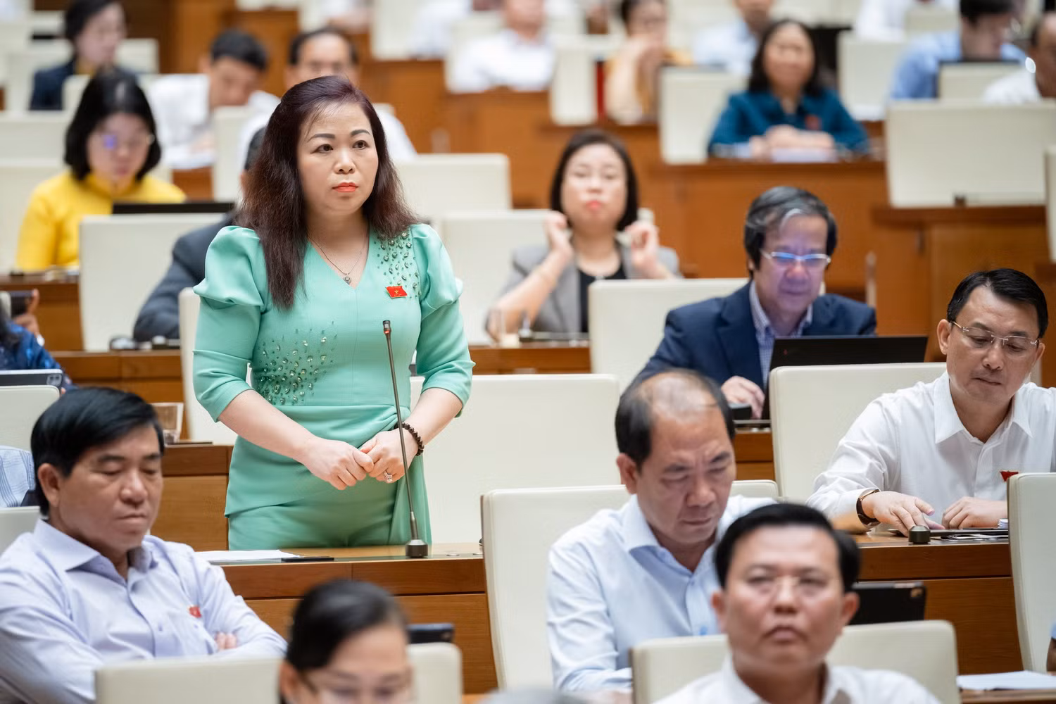 lưu mai.jpg