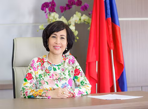 Giáo sư Mai Hồng Qùy, tân Hiệu trưởng Trường Đại học Hoa Sen, Thành phố Hồ Chí Minh (ảnh: hcmlaw.edu.vn)