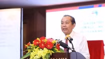 Thủ tướng chỉ đạo một loạt giải pháp để phát triển sâm Ngọc Linh ảnh 2 Thủ tướng chỉ đạo một loạt giải pháp để phát triển sâm Ngọc Linh ảnh 2