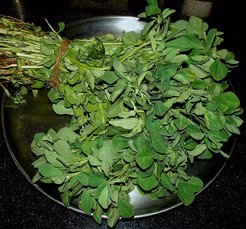 Tăng kích cỡ núi đôi cho quý cô “ngực lép” chỉ bằng thảo mộc ảnh 3 Ảnh minh họa